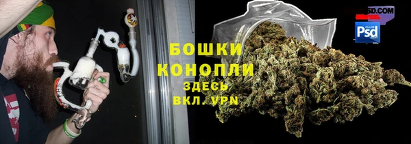 ПСИЛОЦИБИНОВЫЕ ГРИБЫ Бугульма