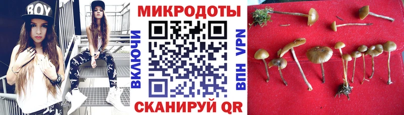 цена наркотик Невель Галлюциногенные грибы Cubensis